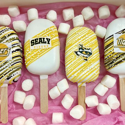 Sealy Tigers Cakesicles