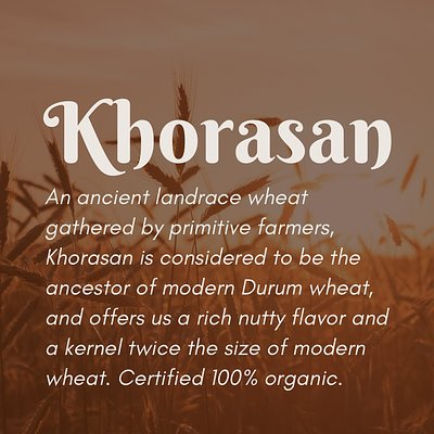 Organic Khorasan Berries (50 lb)