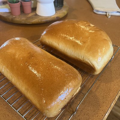 Plain Yeast Bread