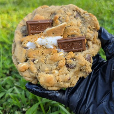 Campfire S'mores 