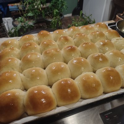 Soft Dinner Rolls