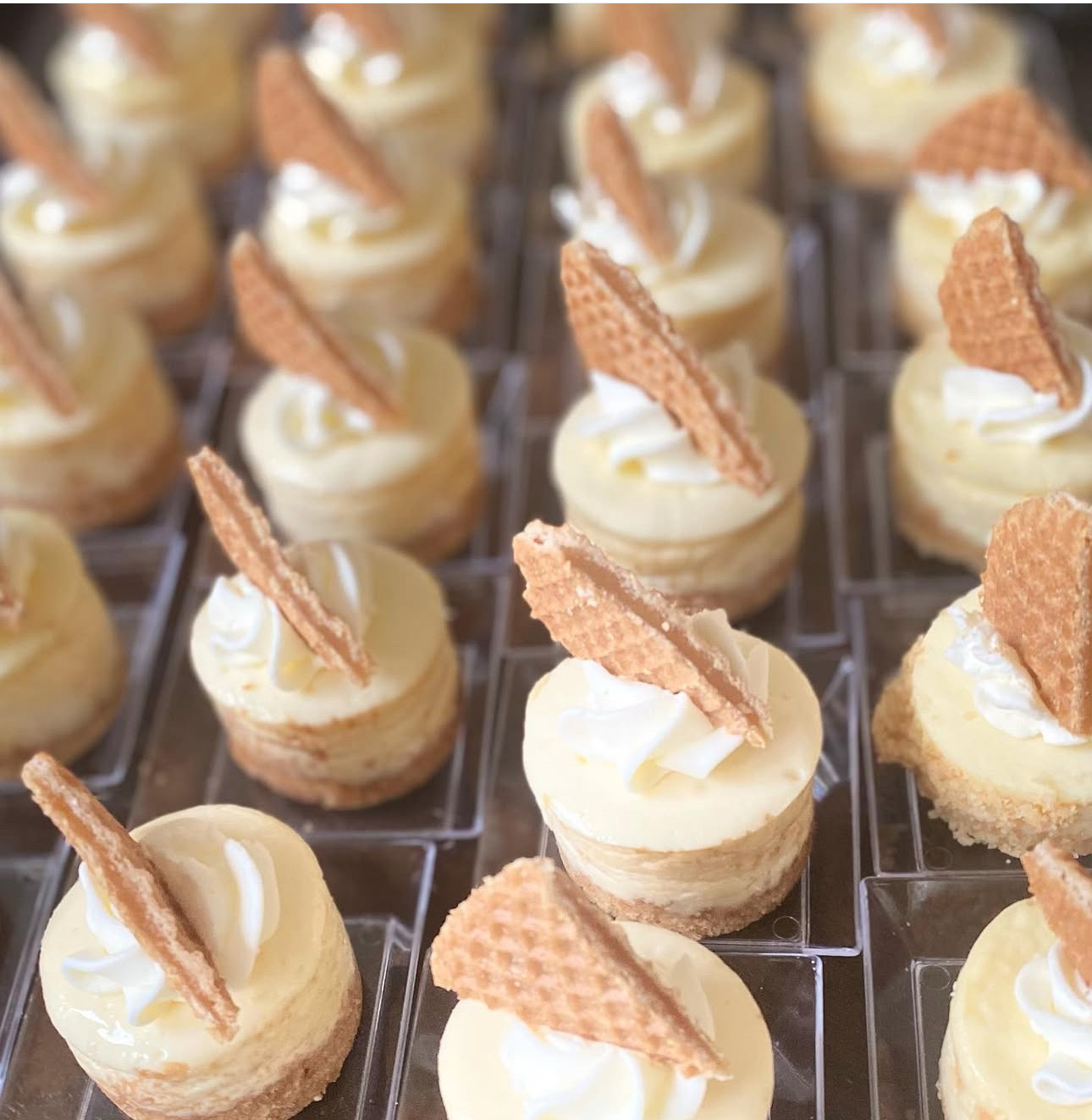 Mini Cheesecake Bites 