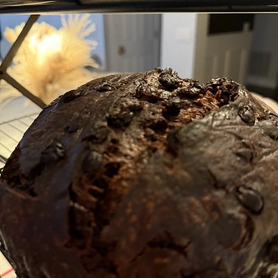 Double Chocolate Sourdough 