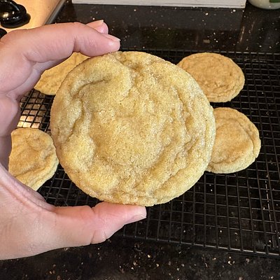Sourdough Organic Sugar Cookie (6 Pack)
