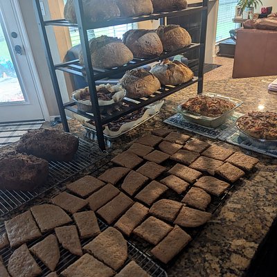 Sourdough Graham Crackers--x12-- LIGHTLY CRISPY 