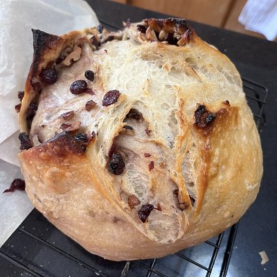 Sourdough Honey Cranberry Walnut (small)
