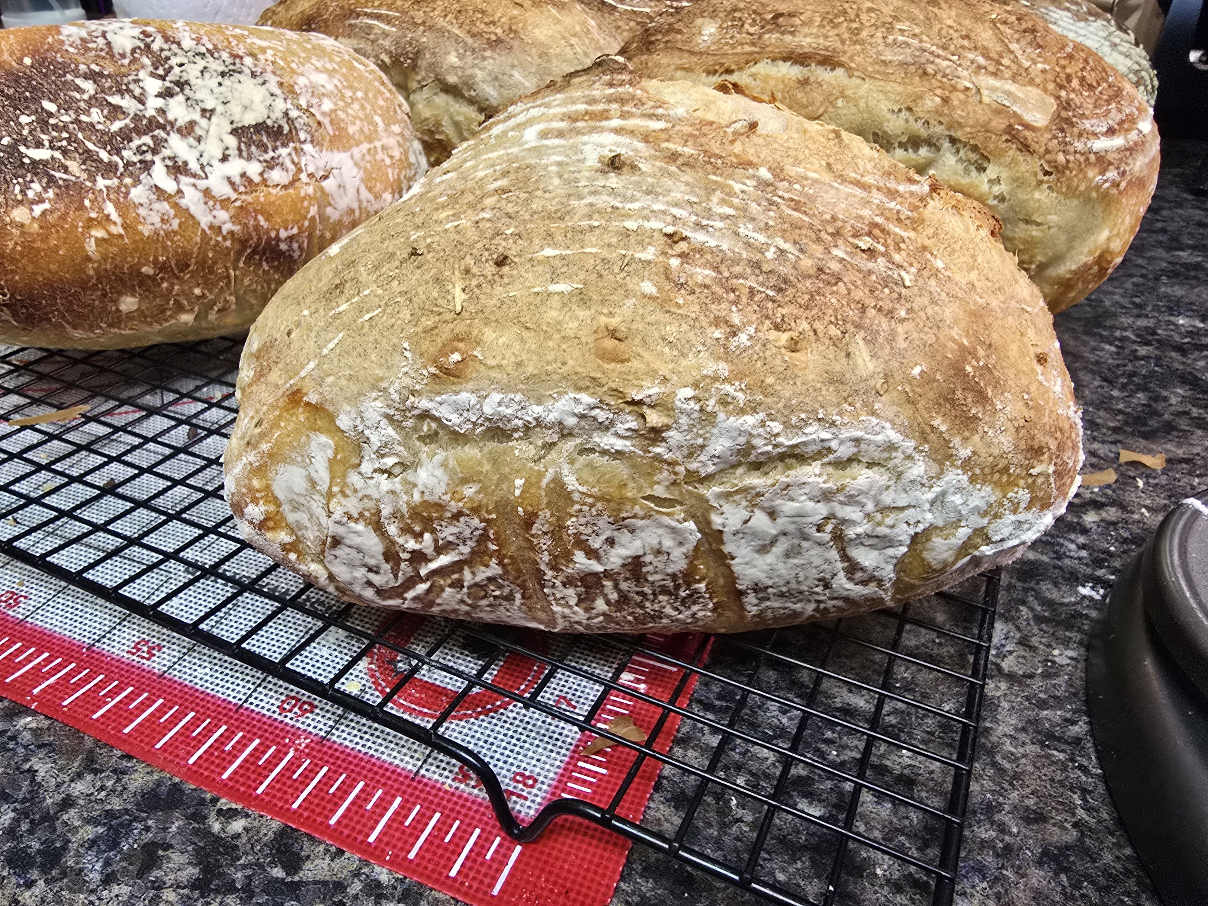 Half Loaf Rosemary And Garlic Sourdough