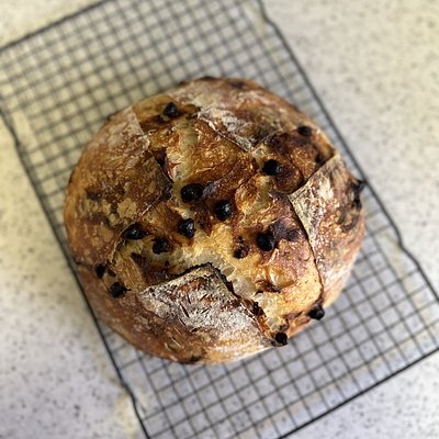 Chocolate Chip Sourdough