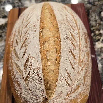 Gluten Free Sourdough Bread