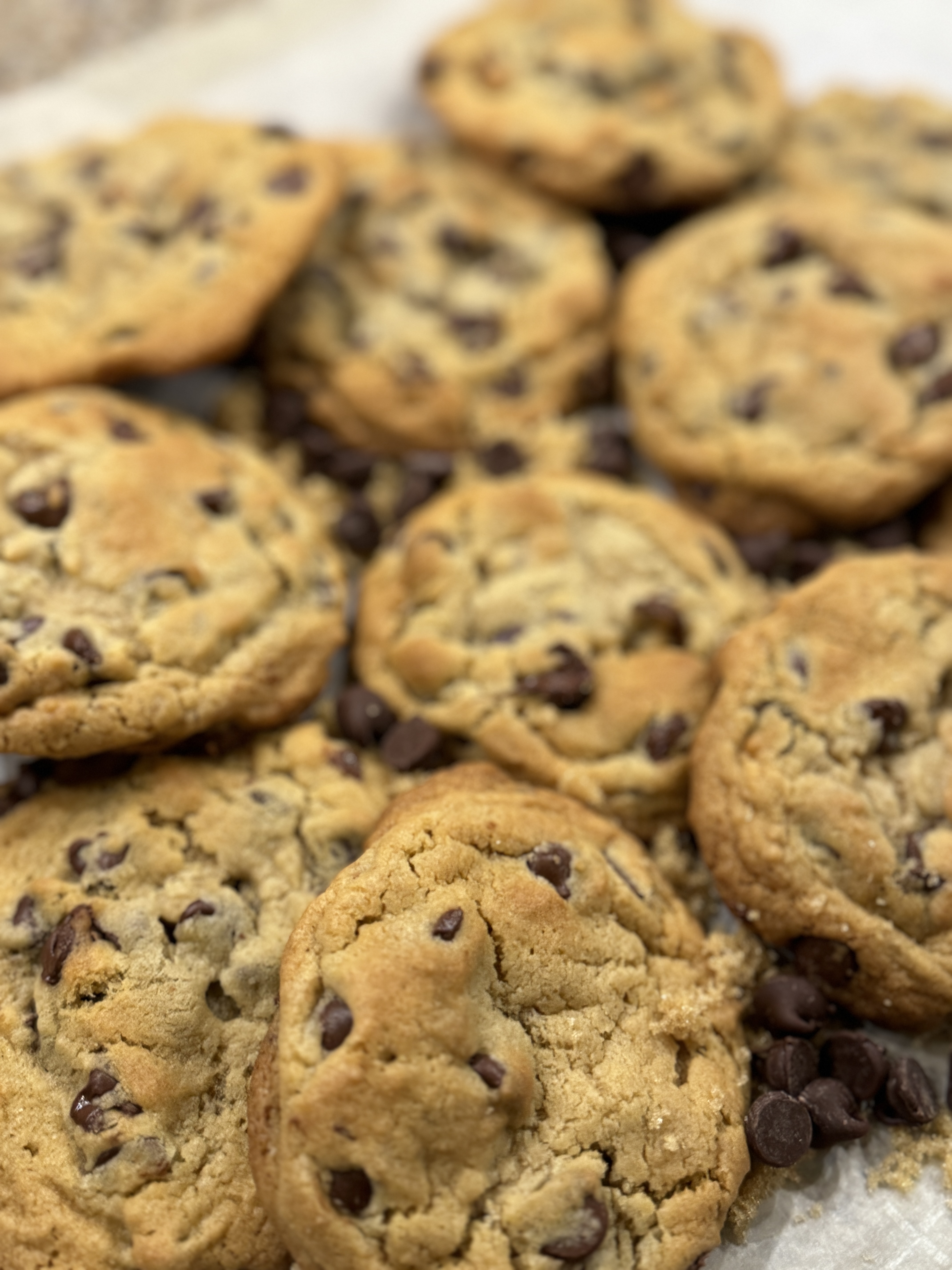 Chocolate Chip Cookie
