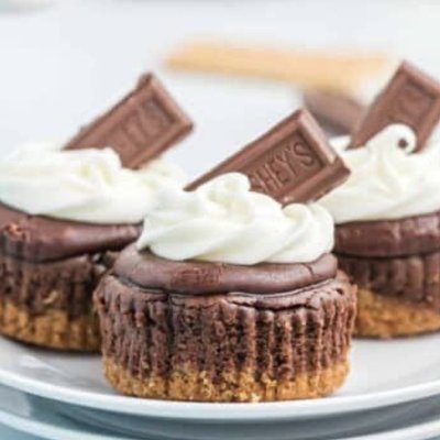 Mini S’more Cheesecakes