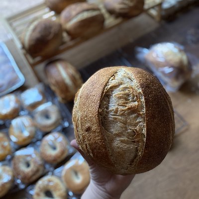 Whole Wheat Sourdough 