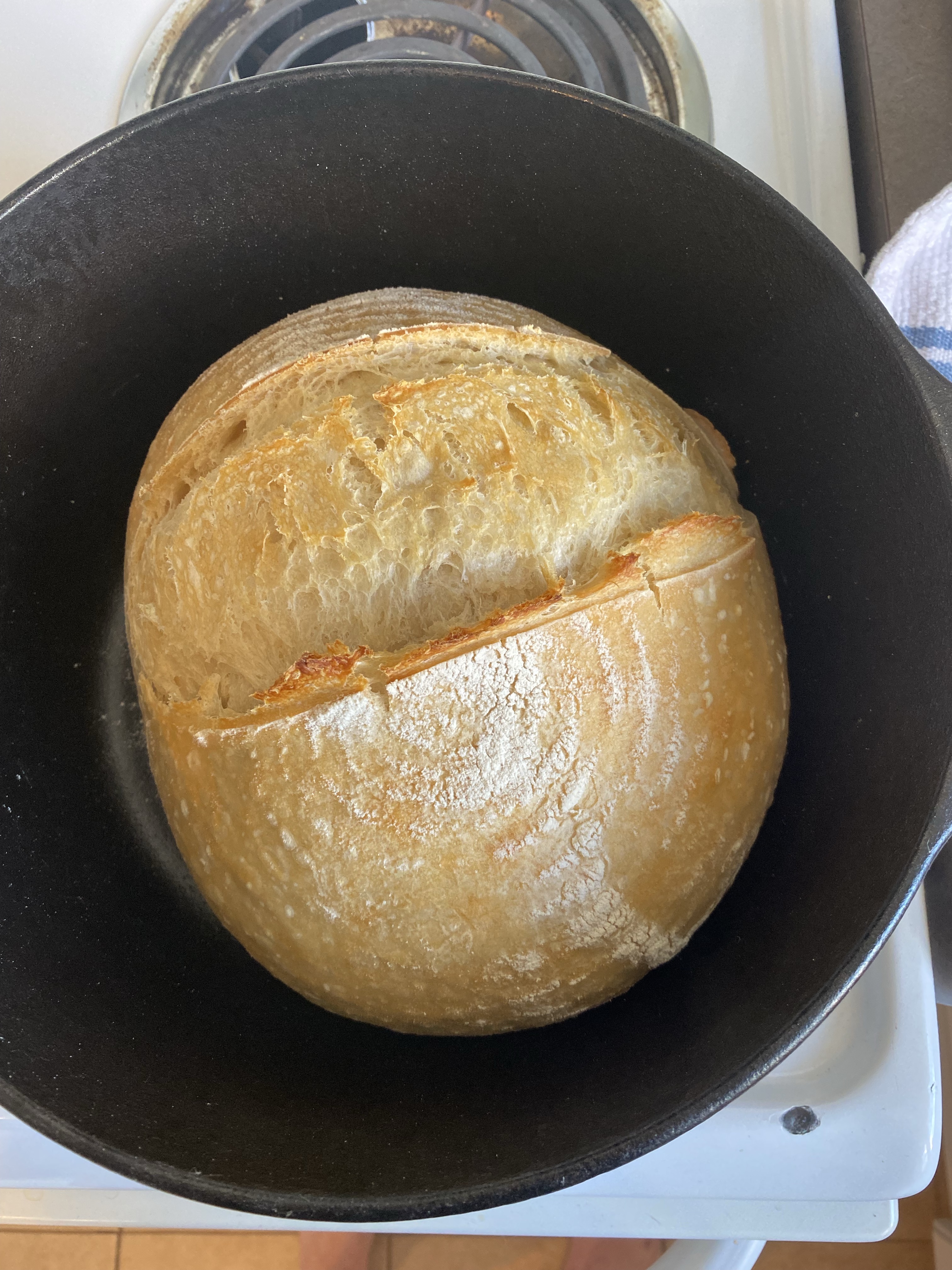 Country loaf
