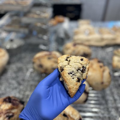Chocolate Chip Scone - Single 