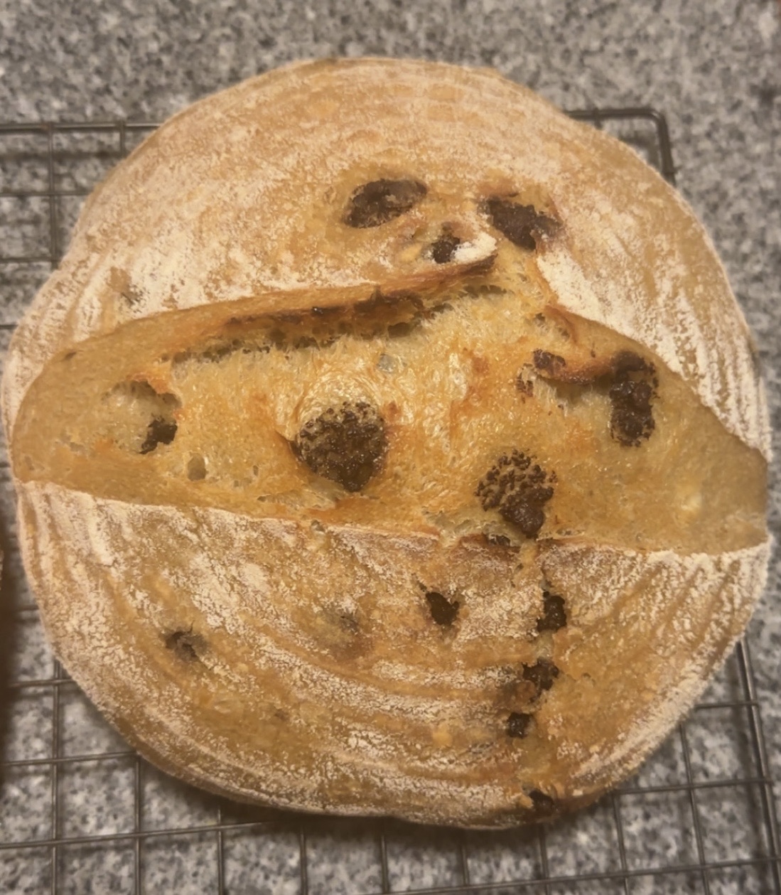 Java Chip Sourdough 