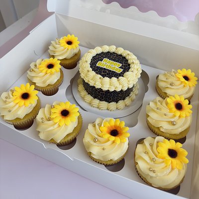Mini Cake + Cupcakes