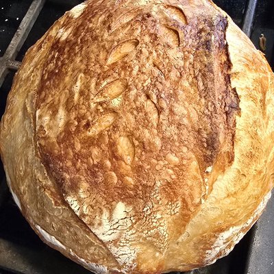Sourdough Artisan Plain Boule