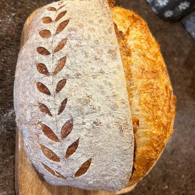 Country Rye  Sourdough 