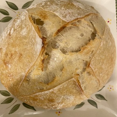 Sourdough Loaves 