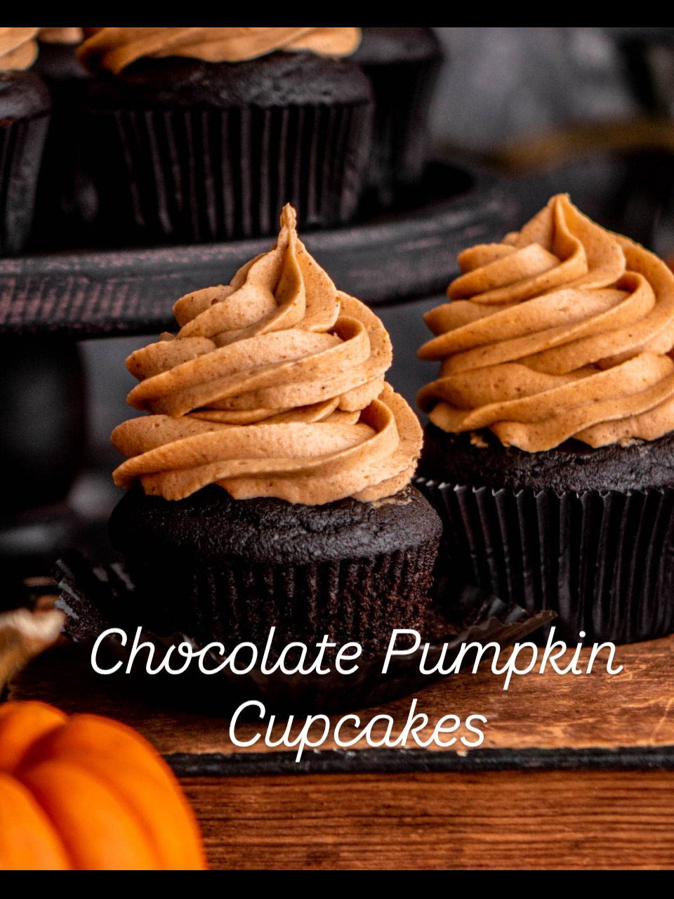 Chocolate Pumpkin Cupcakes 
