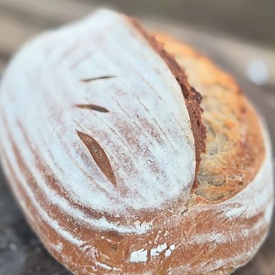 Original Sourdough