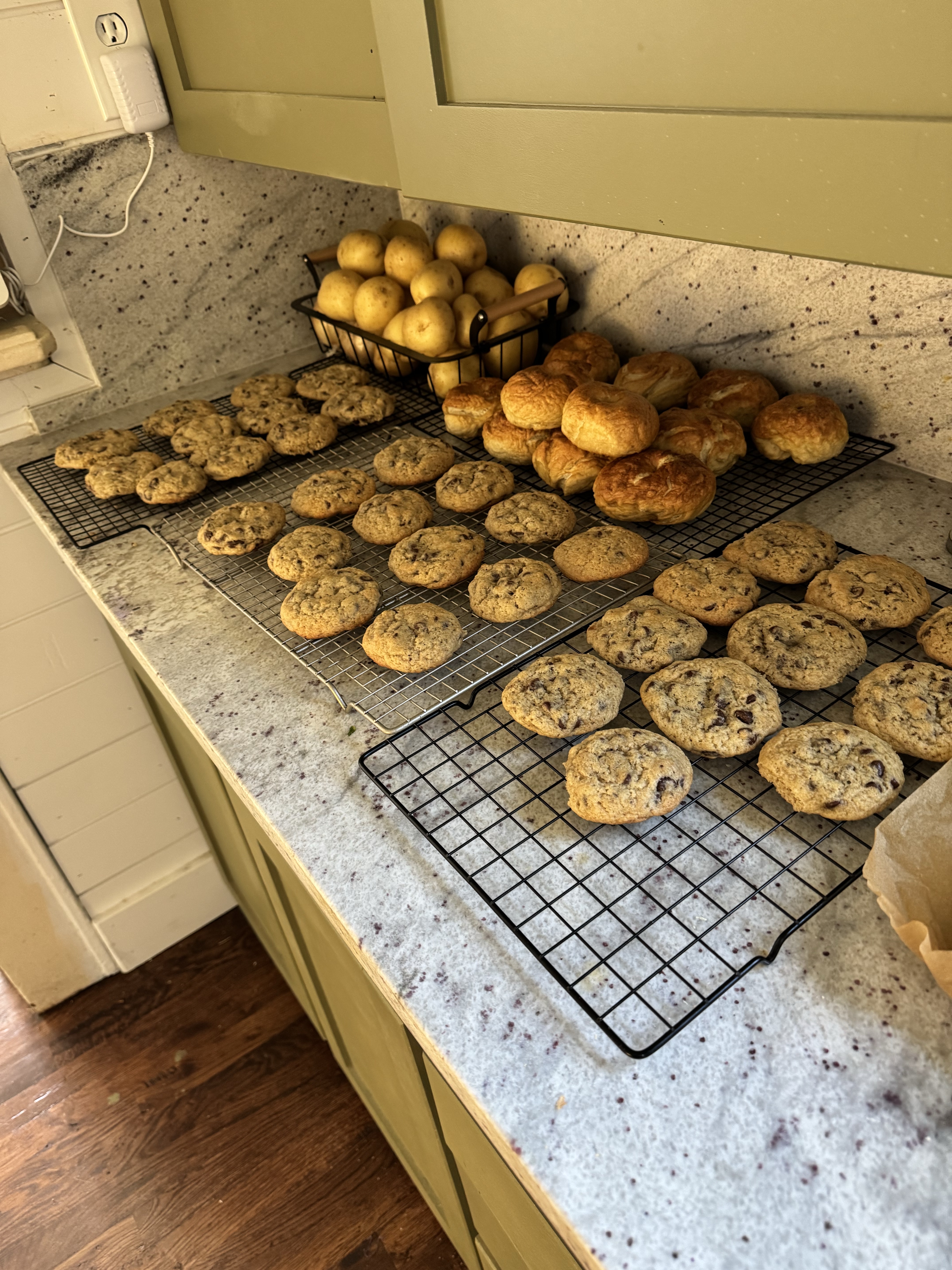 Chocolate Chip Cookies