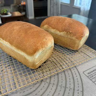 🤍 Regular White Bread Club