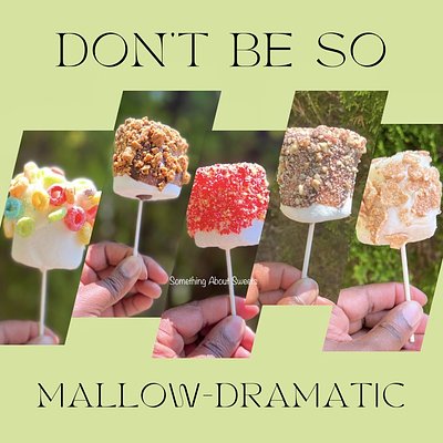Gourmet Chocolate Covered Marshmallows 