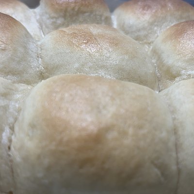 Dinner Rolls 12Pack