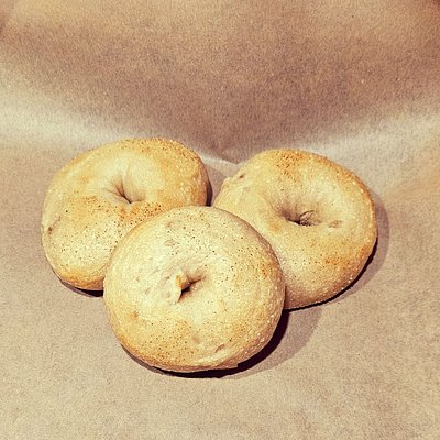 Sourdough Bagel 