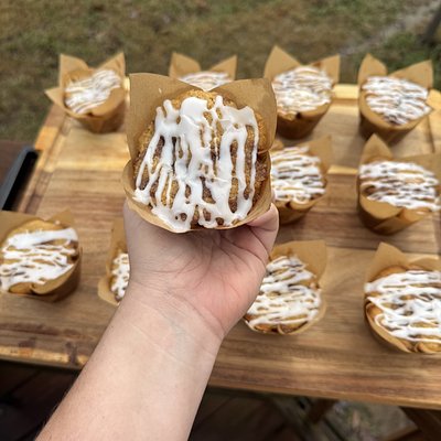 Winter Seasonal Muffin - Coffee Cake
