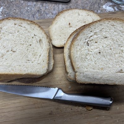 Cactus Sandwich Bread 