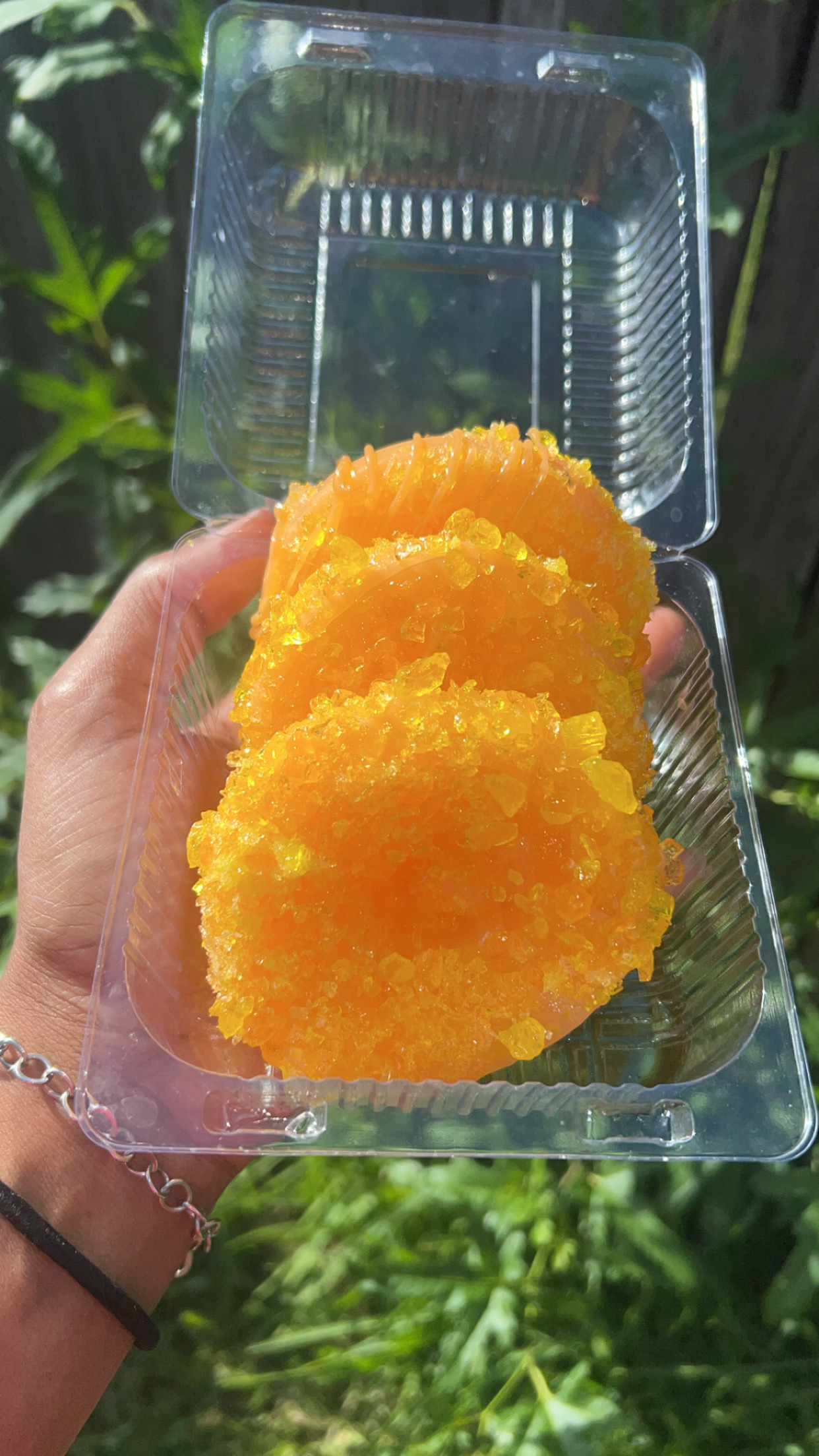 Candied Pineapples 