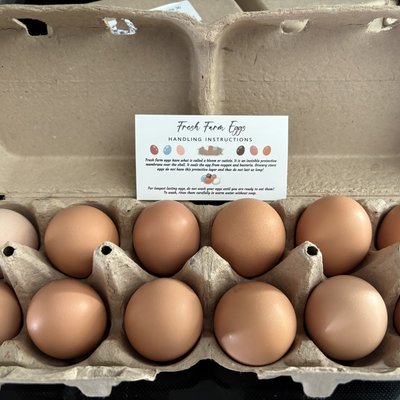 Dozen Eggs 