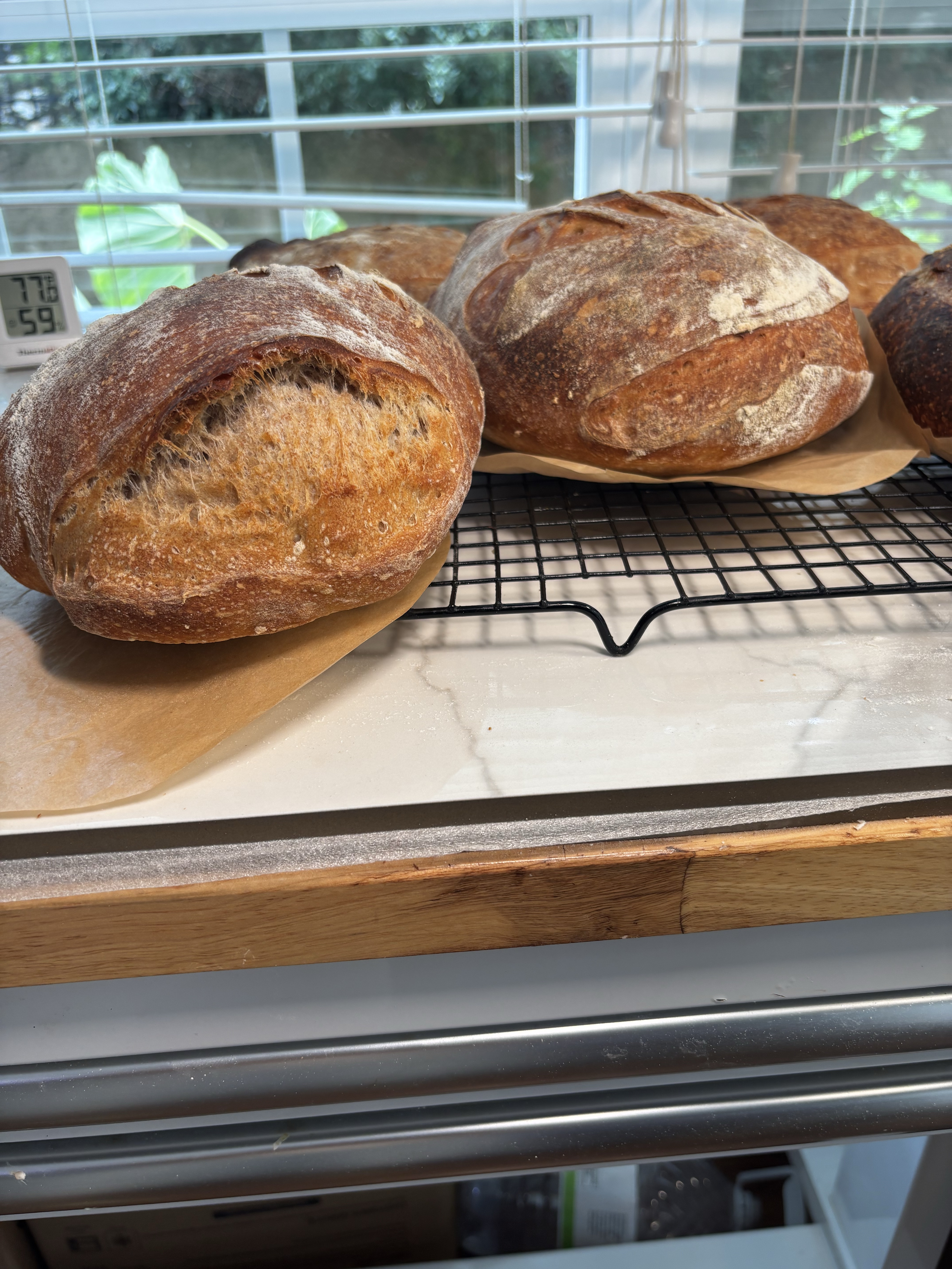 Rustic Sourdough Boule Or Loaf