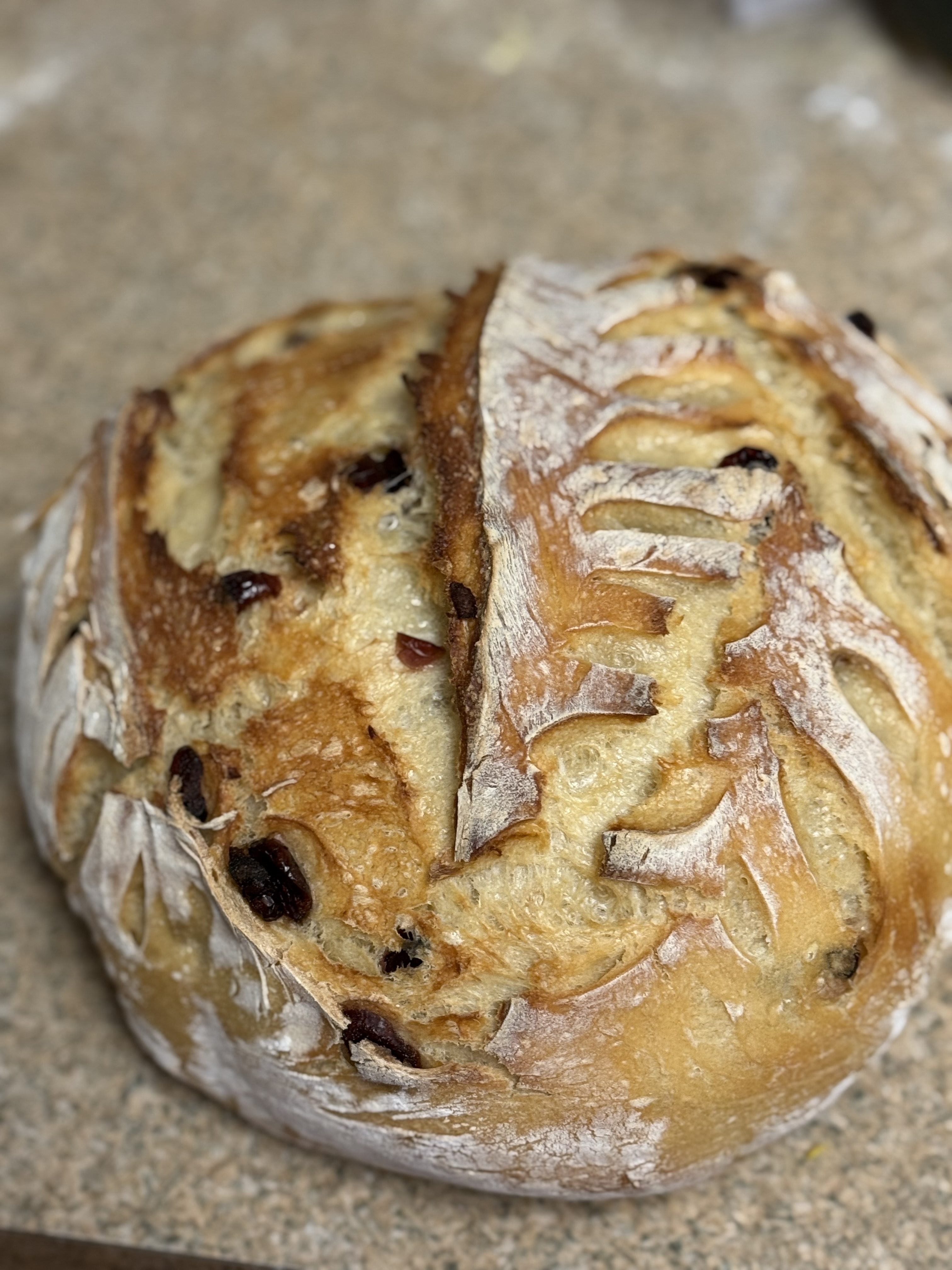 Sourdough Cranberry Orange