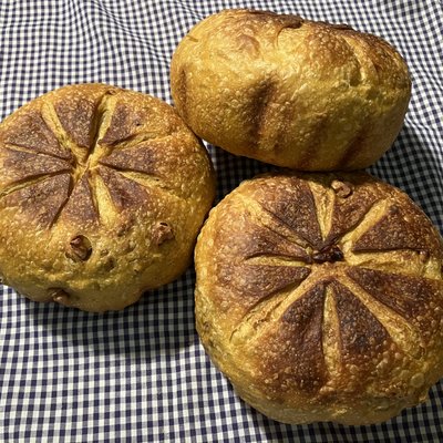Pumpkins! Pumpkin Spice (Sourdough)