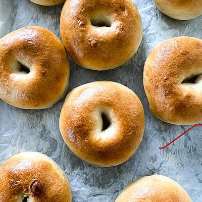 Plain Sourdough Bagel (8)