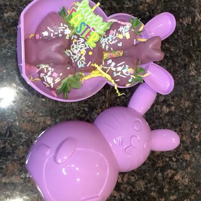 EASTER Bunny or Egg
