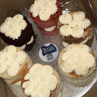 Cake Sampler Box (You Choose!) 