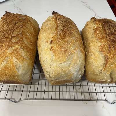 Organic Sourdough Plain Loaf 