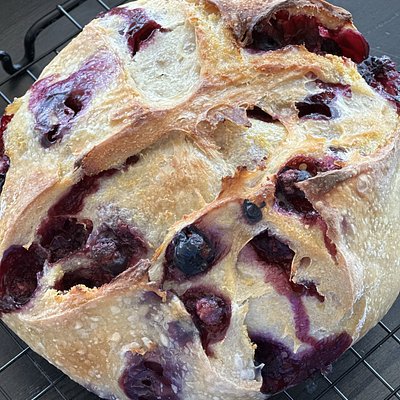 Sugared Lemon Blueberry Loaf