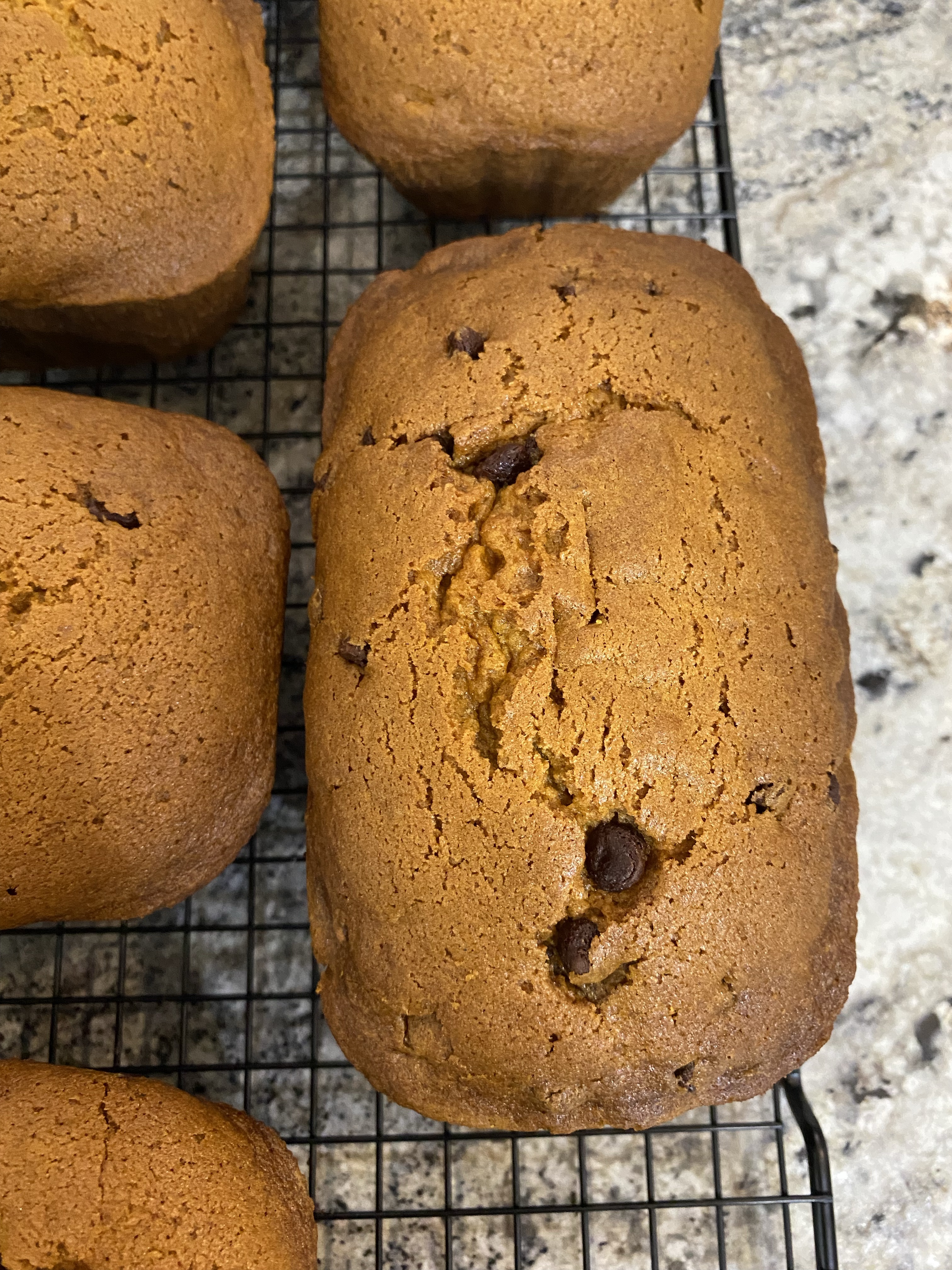 Pumpkin Bread + Walnuts - Small Loaf 