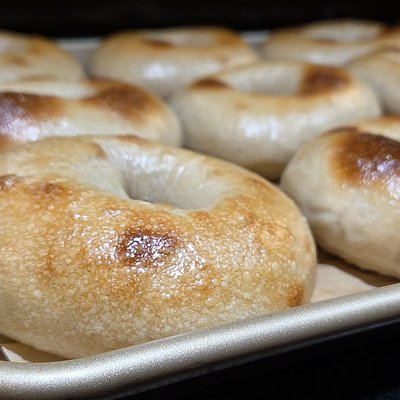 Plain Jane Sourdough Bagels (3 Pack)
