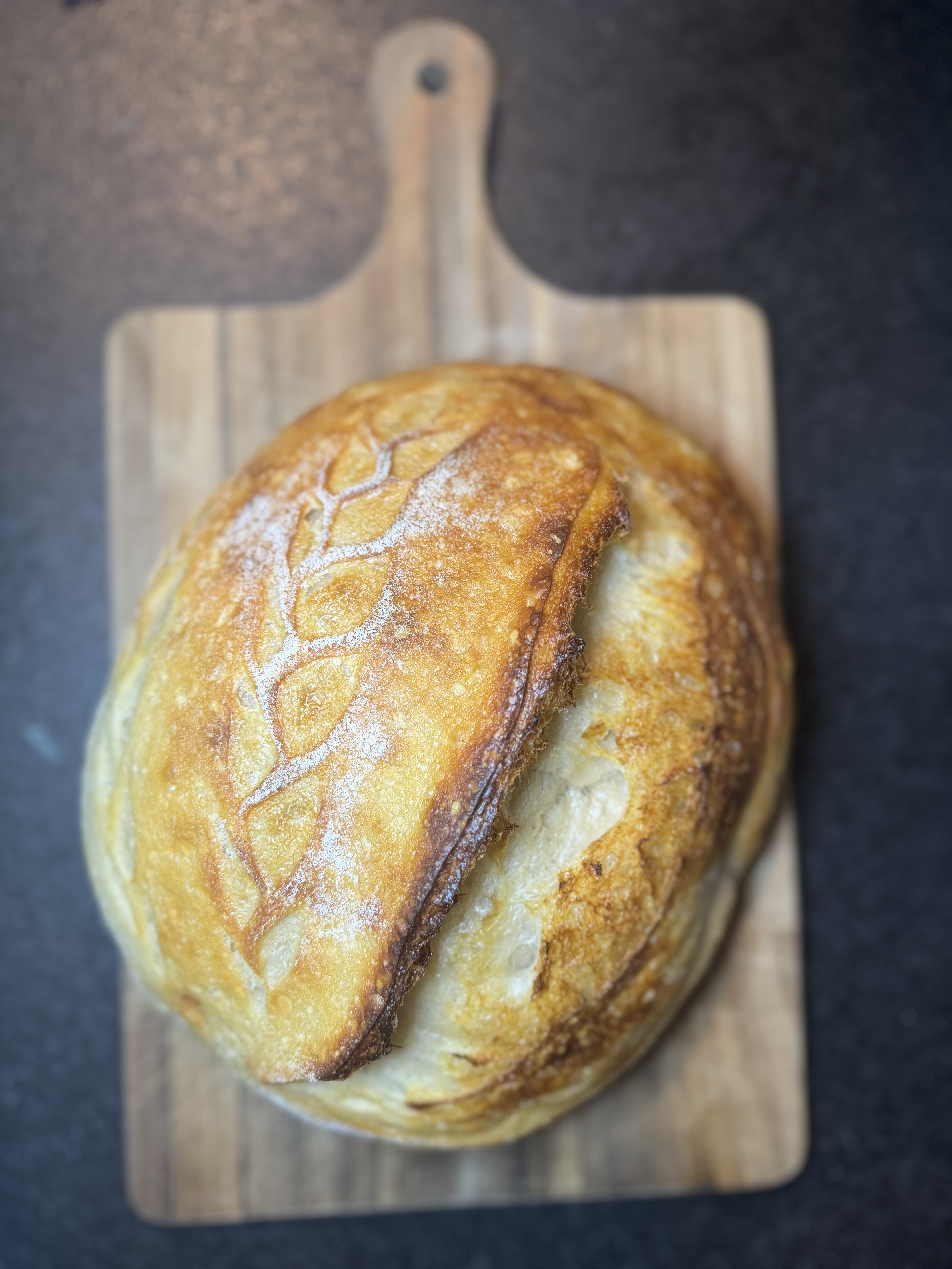 Italian Parmesan Sourdough Loaf