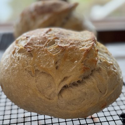 Small Sourdough Artisan Loaf