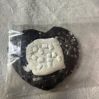 hot cocoa cookie 