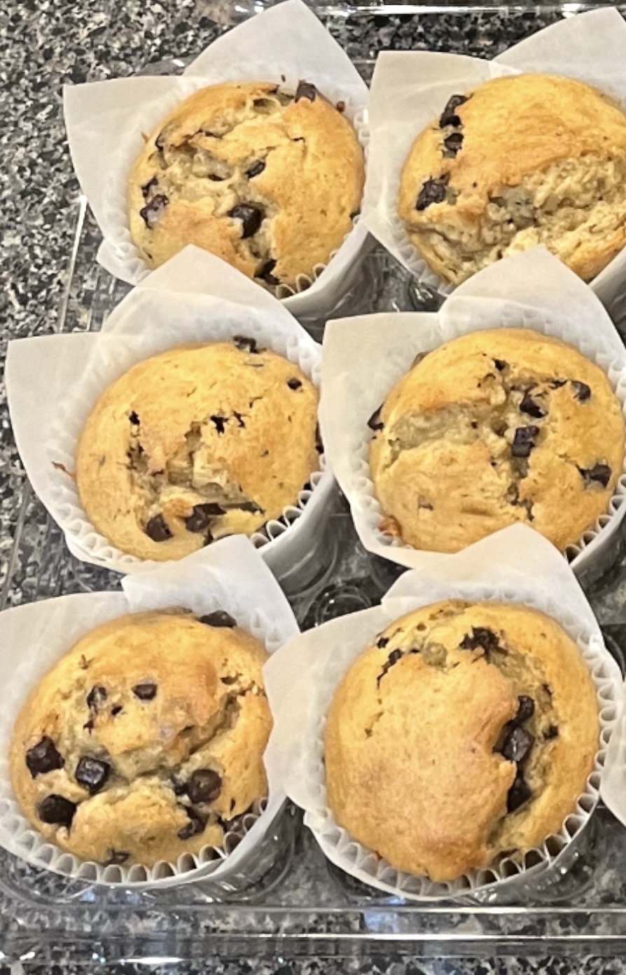 Chocolate chip muffins