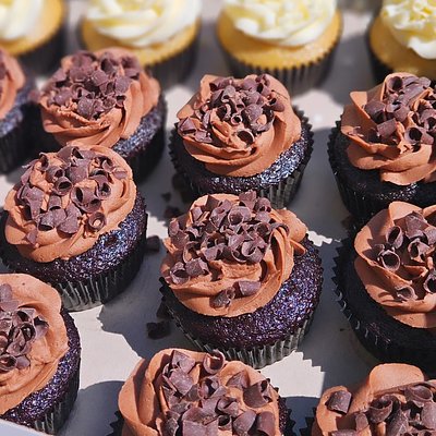 Classic Chocolate Cupcakes (6-Pack)