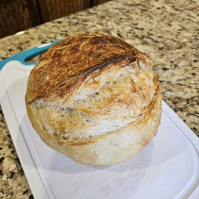 Plain Sourdough 